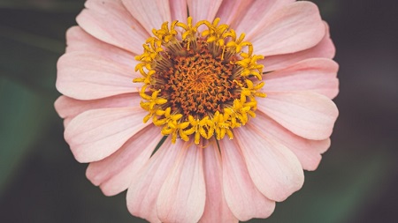 意甲媒体透露：门德斯正在与米兰探讨曼城球员席尔瓦加盟的可能性，米兰的要求就一点，降薪